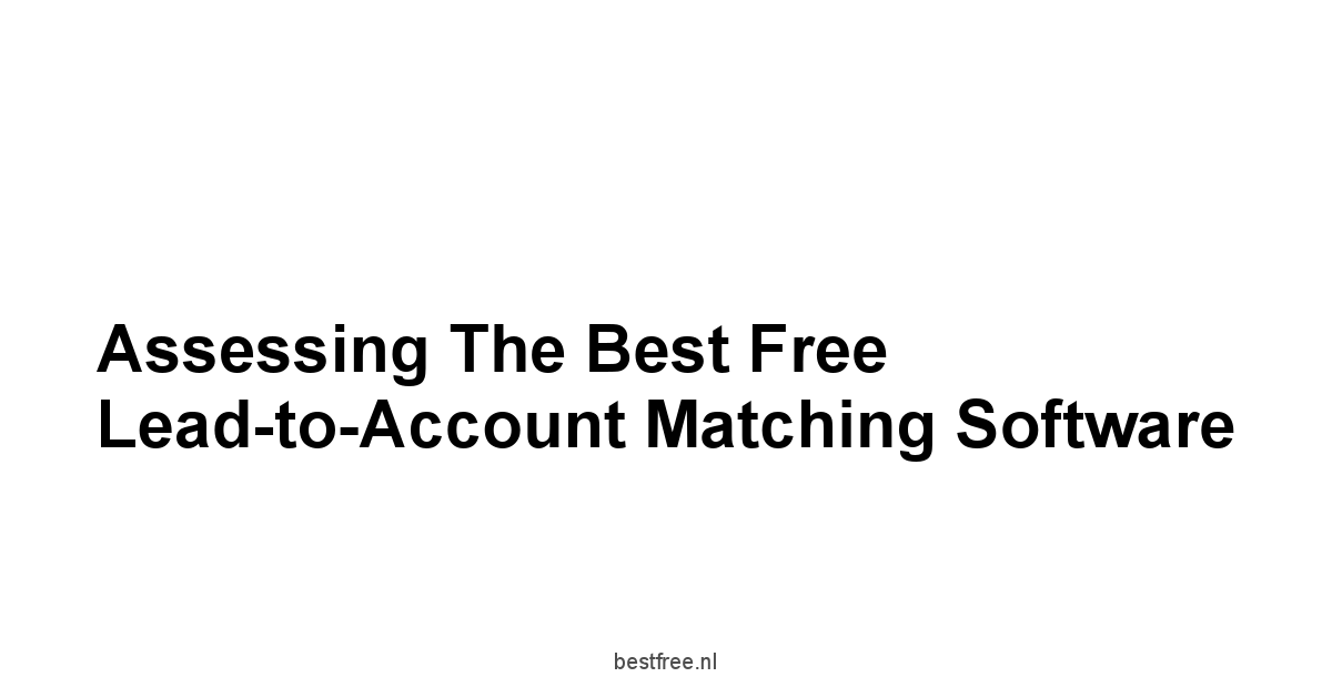 Assessing the Best Free Lead-to-Account Matching Software