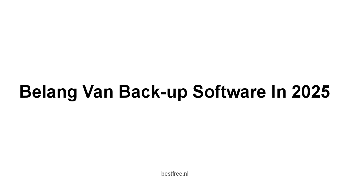 Belang van Back-up Software in 2025