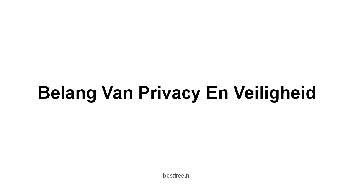 Belang van Privacy en Veiligheid