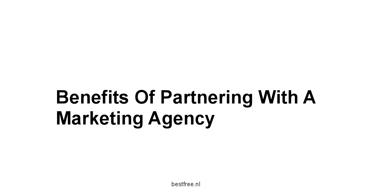 Benefits of Partnering with a Marketing Agency