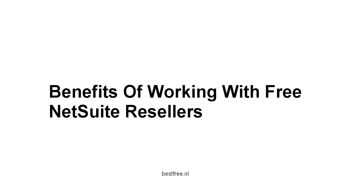 Benefits of Working with Free NetSuite Resellers