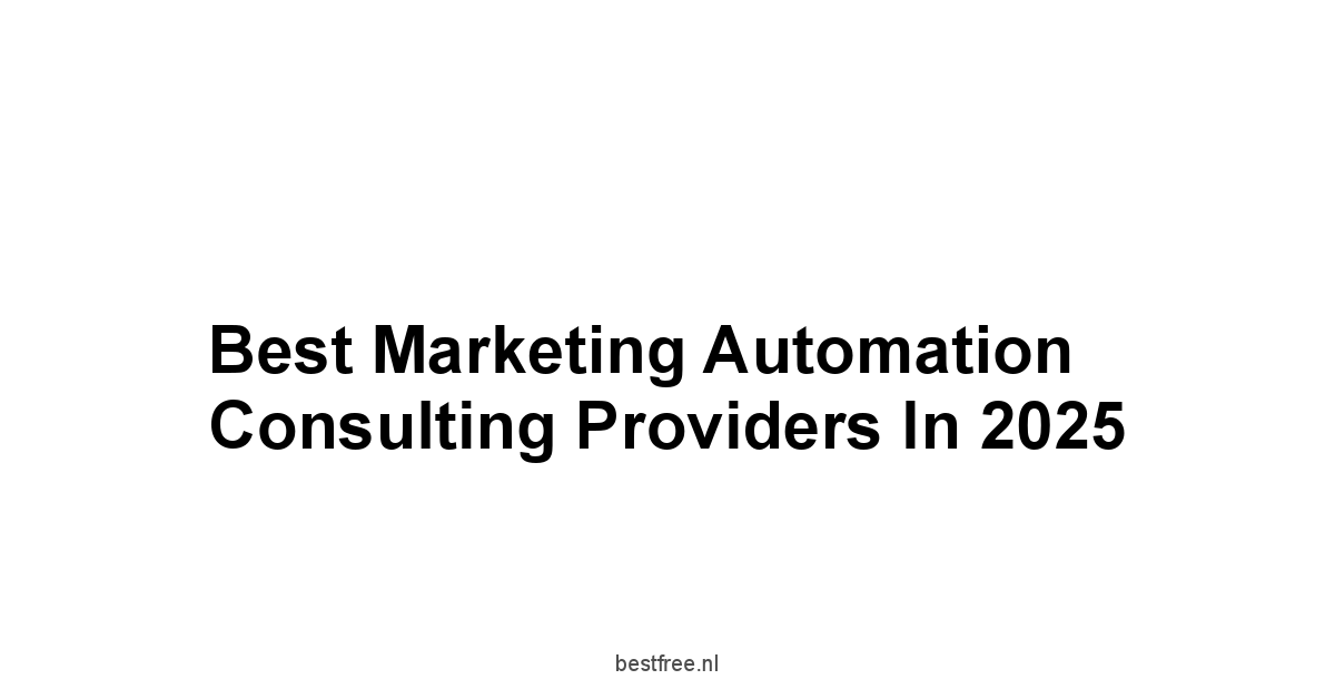 Best Marketing Automation Consulting Providers in 2025