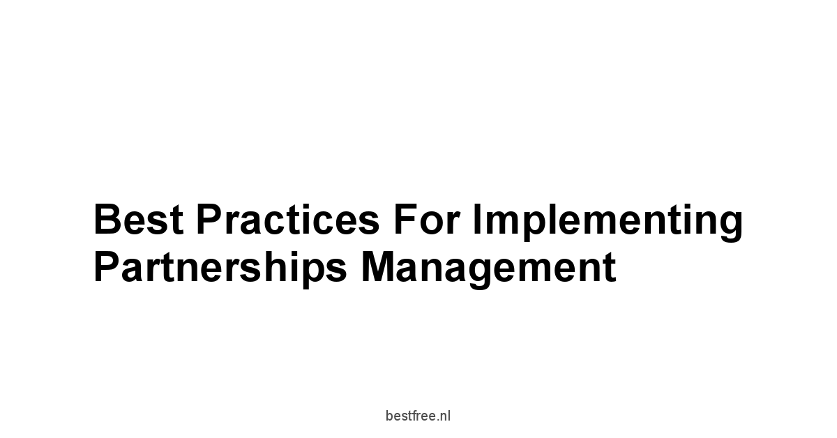 Best Practices for Implementing Partnerships Management