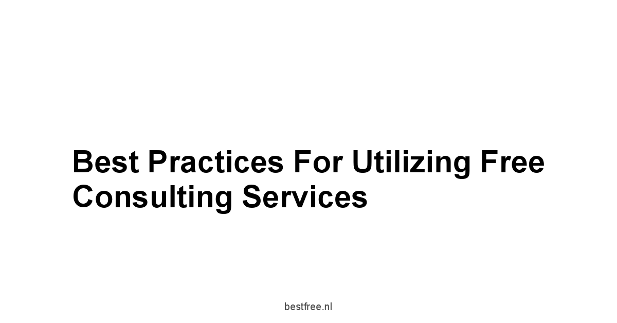 Best Practices for Utilizing Free Consulting Services