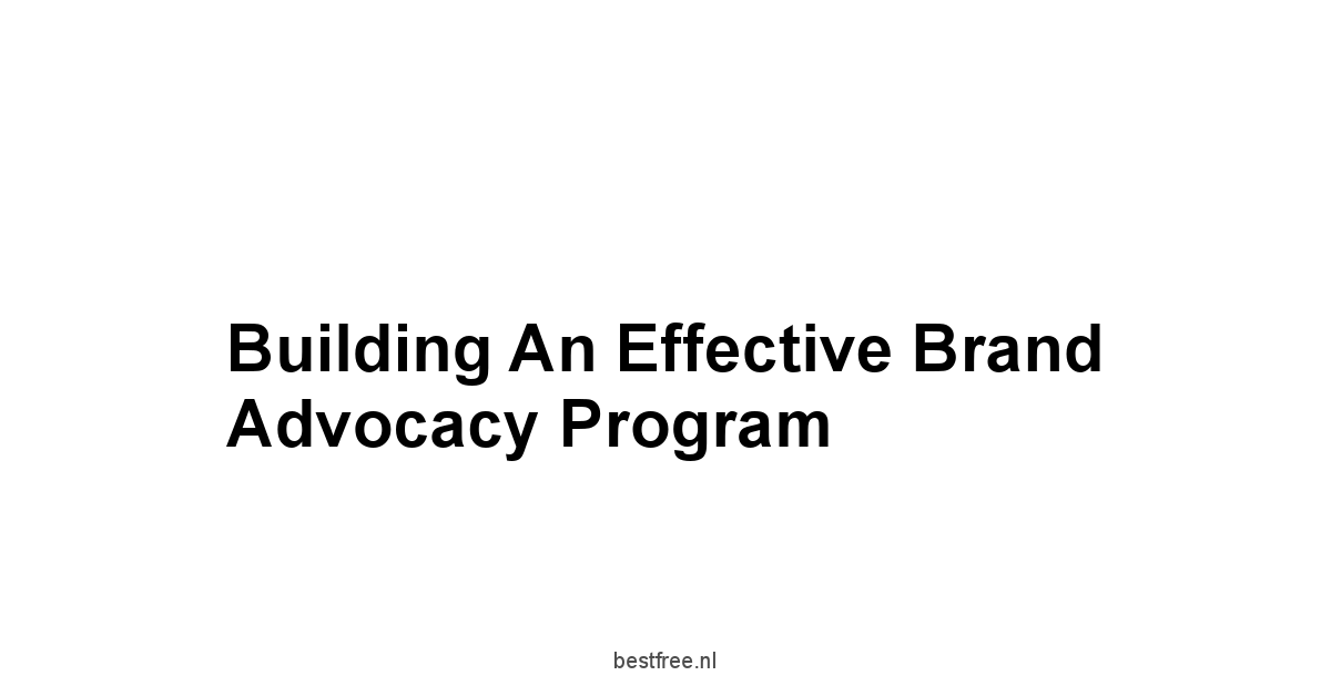 Building an Effective Brand Advocacy Program