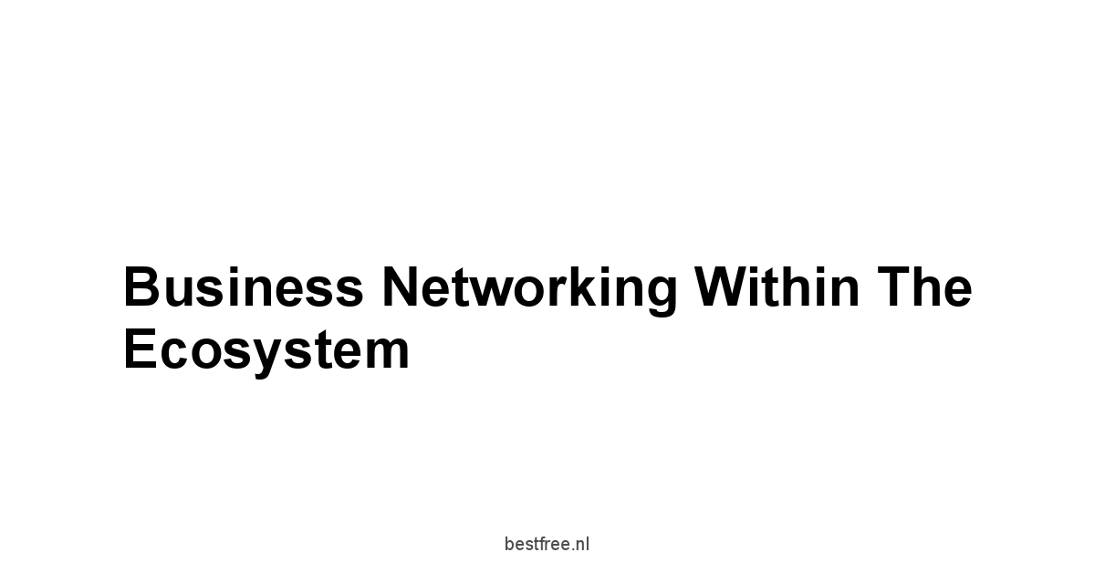 Business Networking Within the Ecosystem