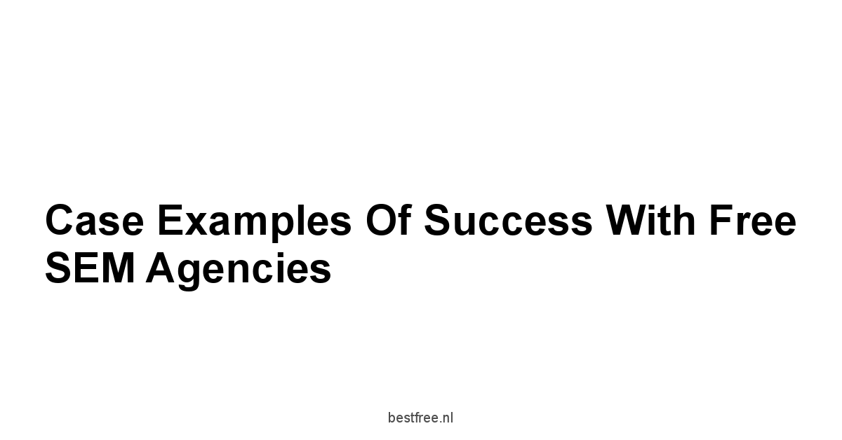 Case Examples of Success with Free SEM Agencies