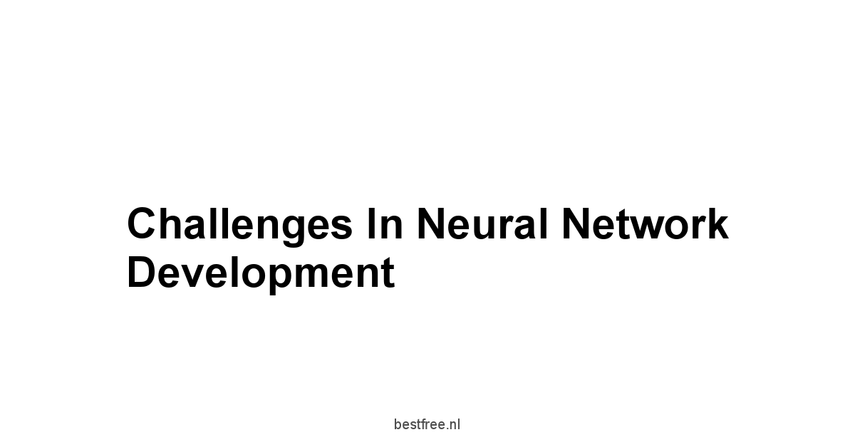 Challenges in Neural Network Development