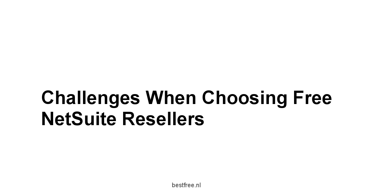 Challenges When Choosing Free NetSuite Resellers