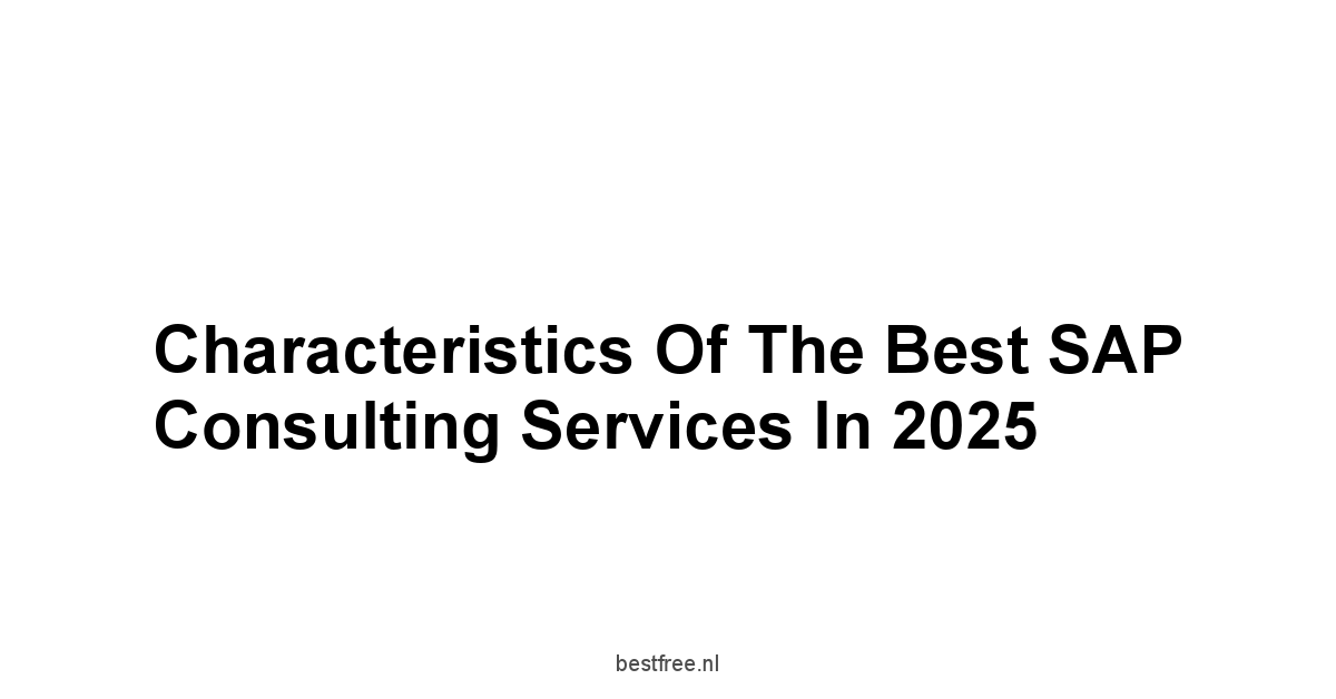 Characteristics of the Best SAP Consulting Services in 2025