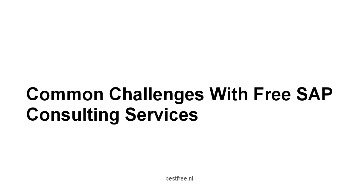 Common Challenges with Free SAP Consulting Services