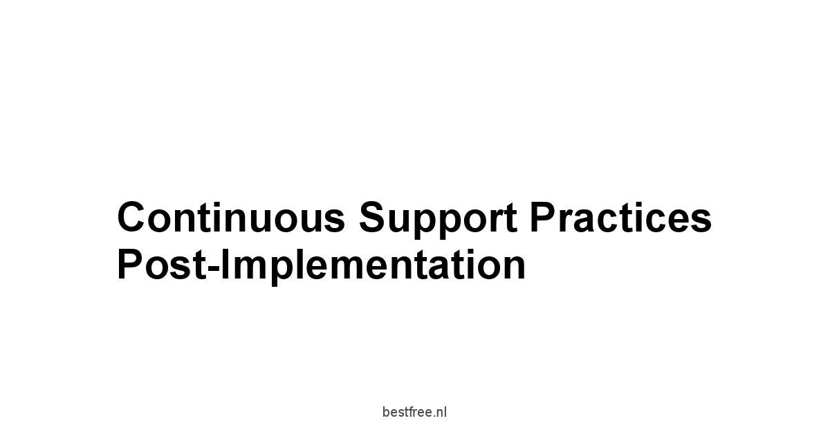 Continuous Support Practices Post-Implementation