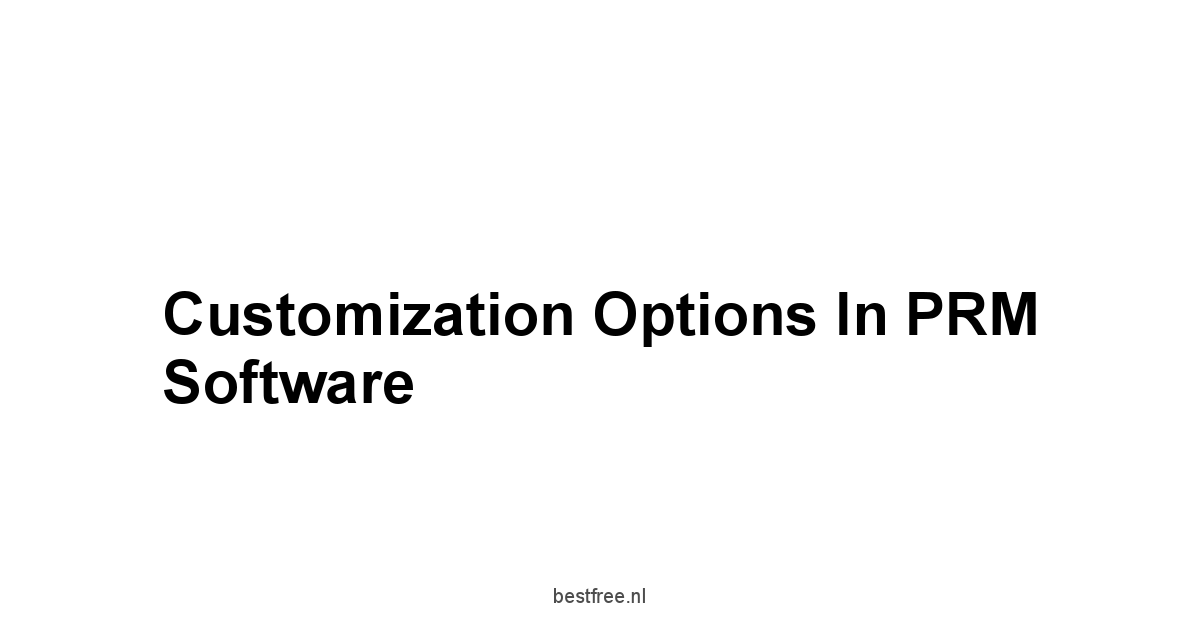 Customization Options in PRM Software