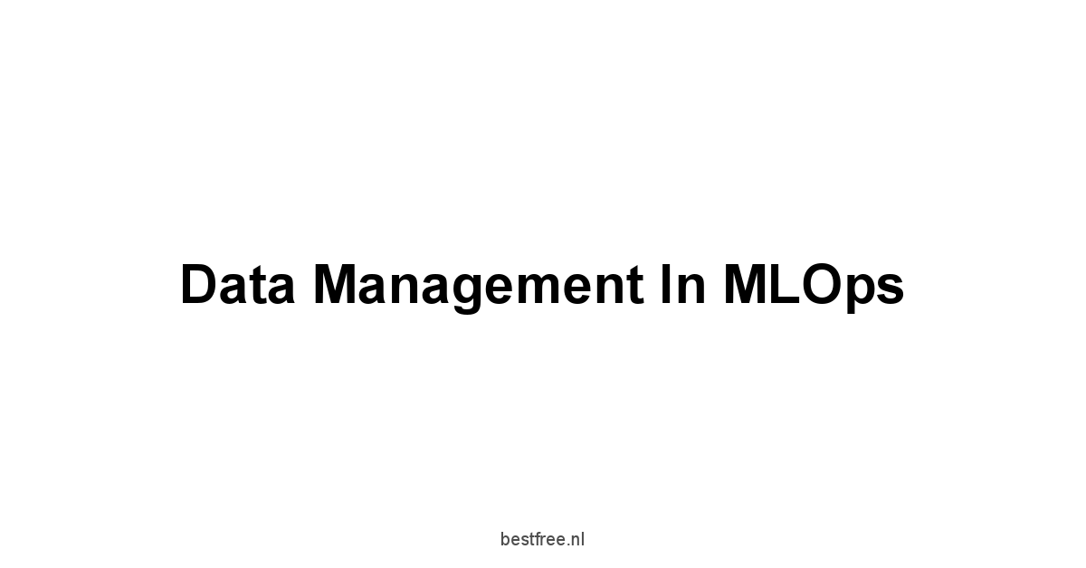 Data Management in MLOps