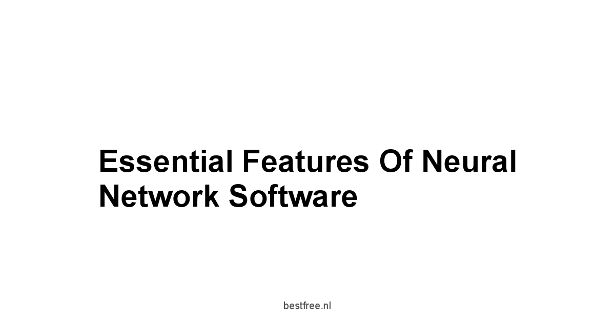 Essential Features of Neural Network Software