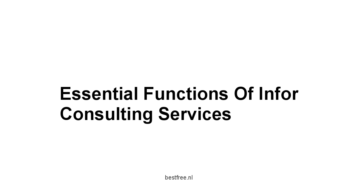 Essential Functions of Infor Consulting Services