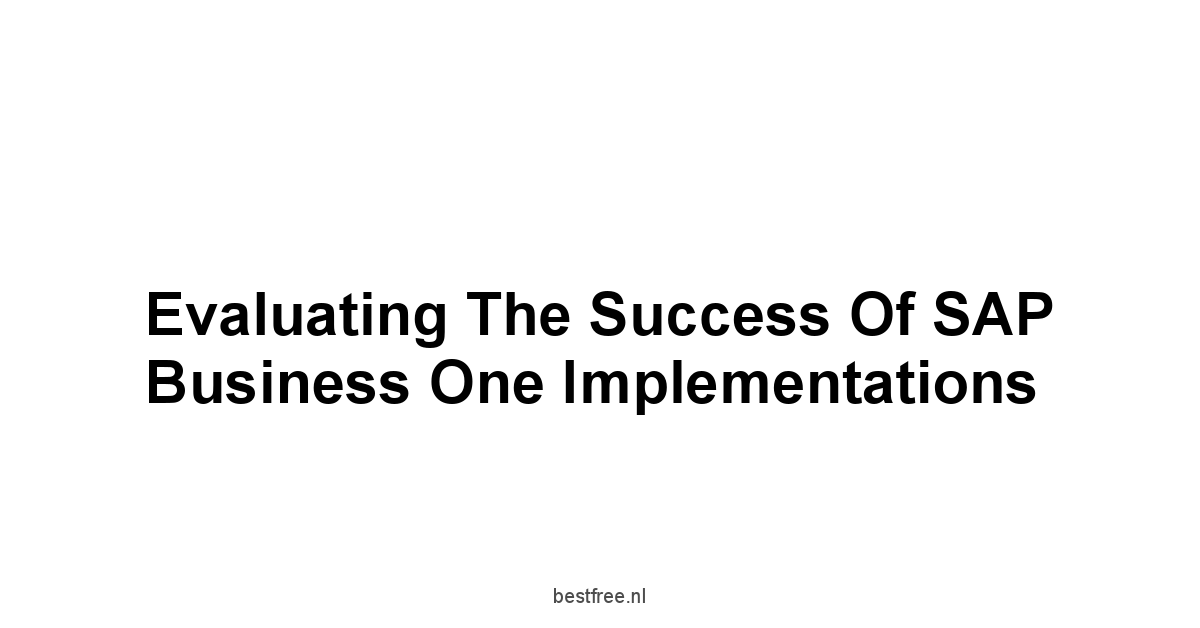 Evaluating the Success of SAP Business One Implementations