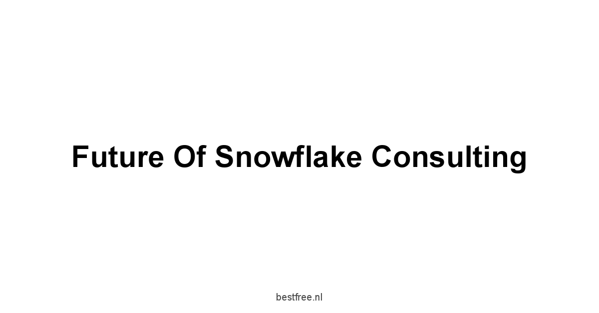 Future of Snowflake Consulting