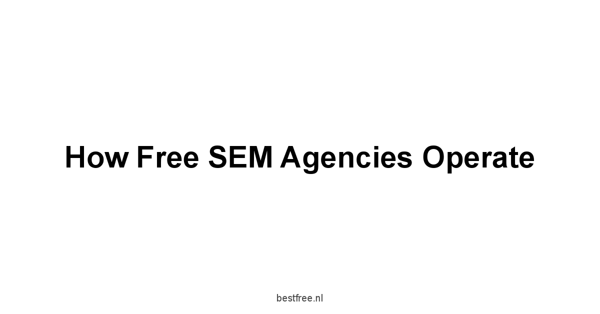 How Free SEM Agencies Operate