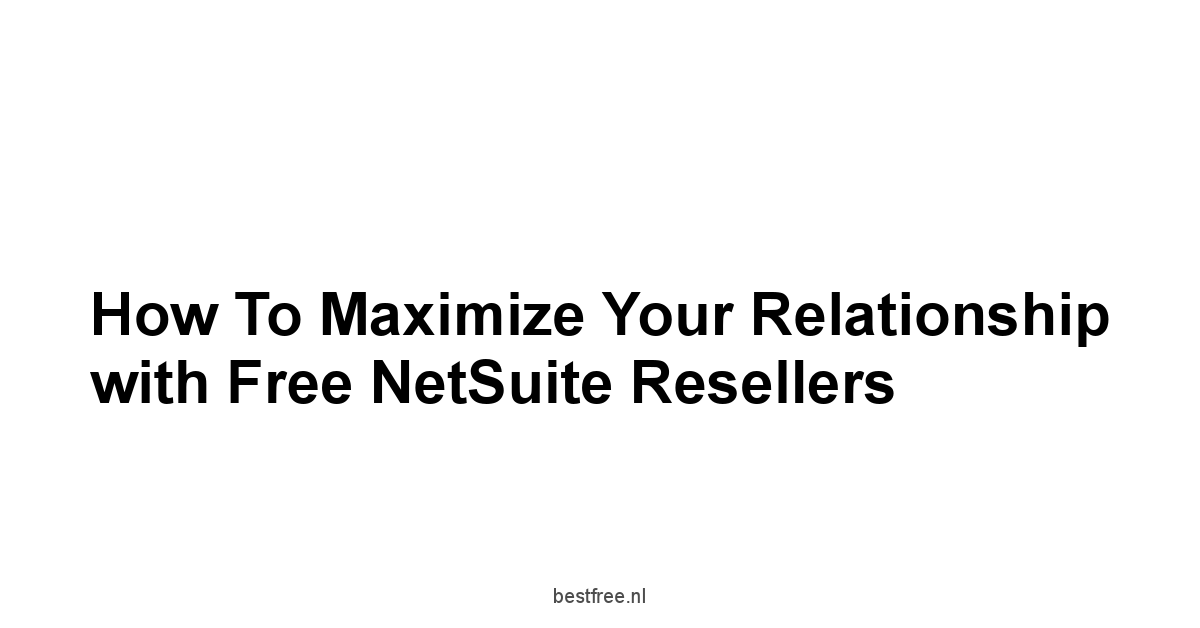 How to Maximize Your Relationship with Free NetSuite Resellers