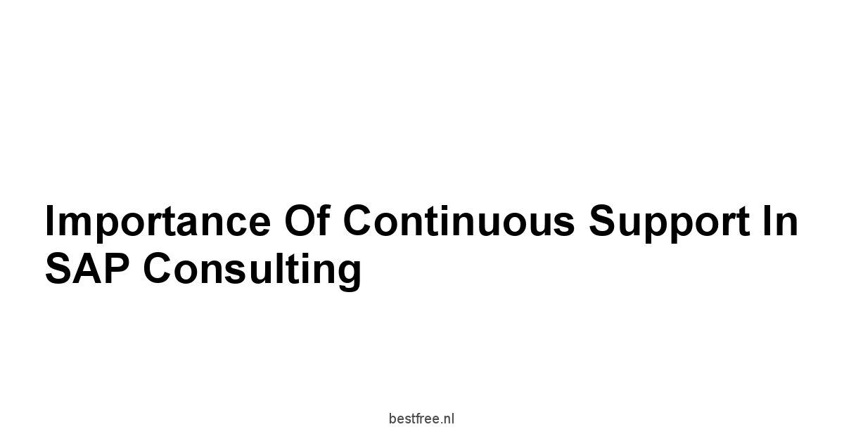 Importance of Continuous Support in SAP Consulting