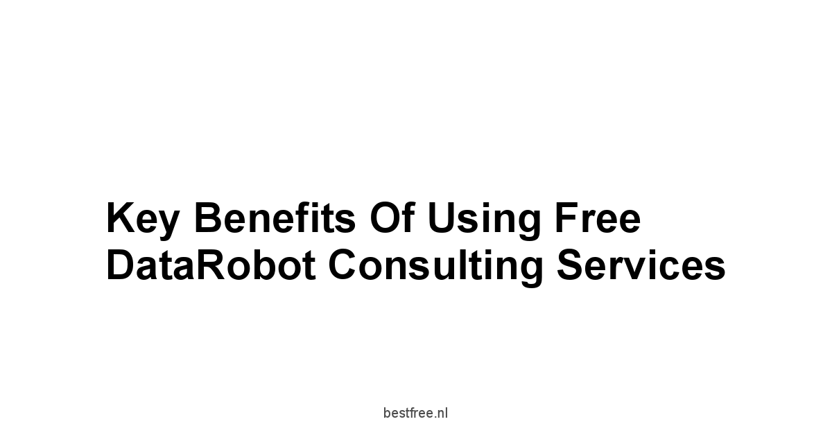 Key Benefits of Using Free DataRobot Consulting Services