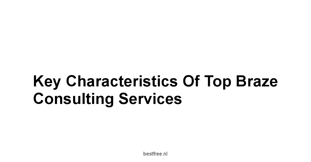 Key Characteristics of Top Braze Consulting Services