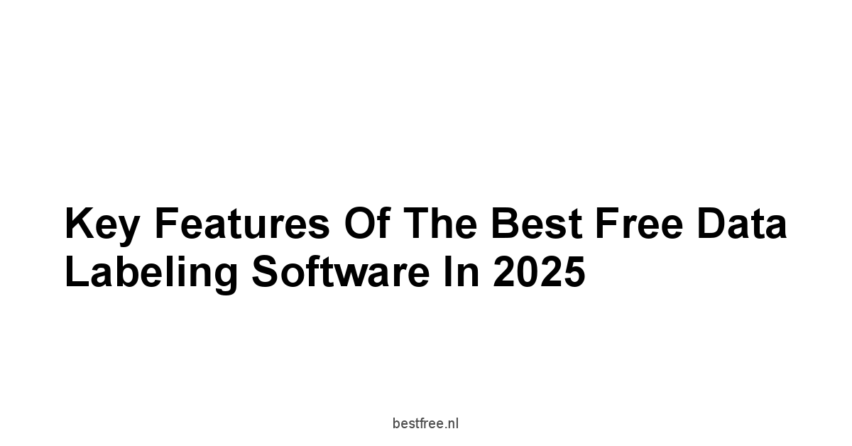 Key Features of the Best Free Data Labeling Software in 2025