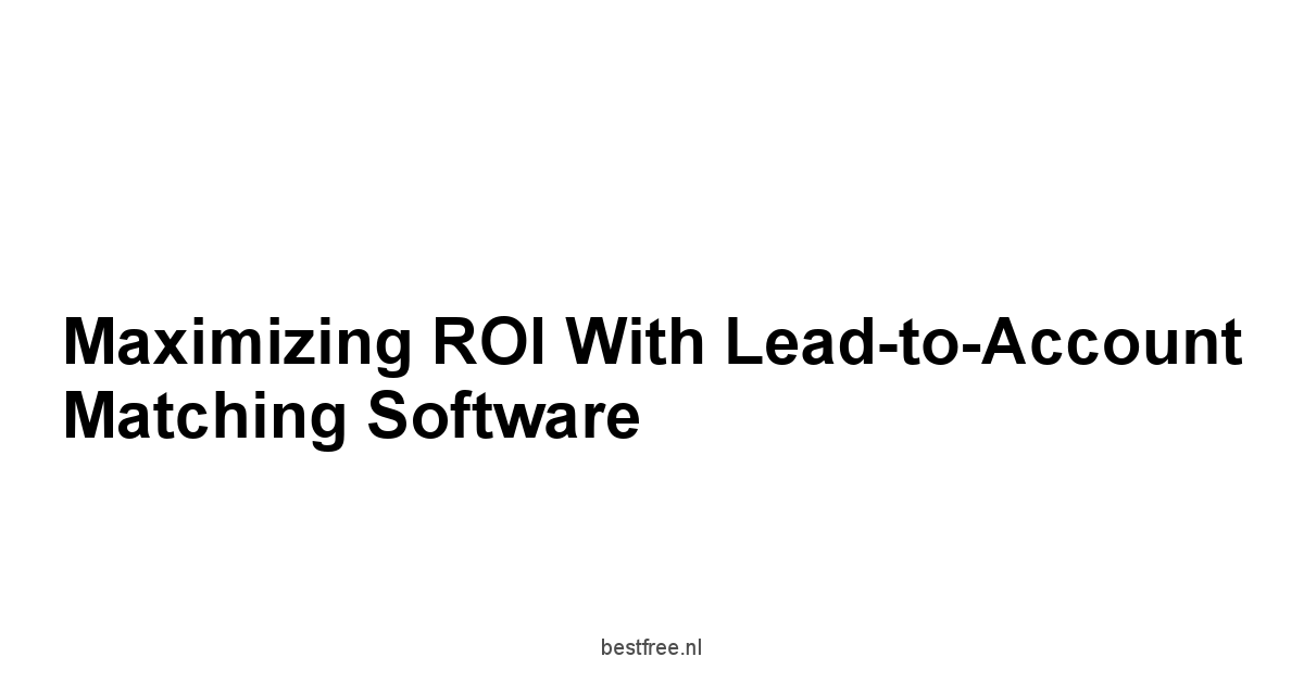 Maximizing ROI with Lead-to-Account Matching Software