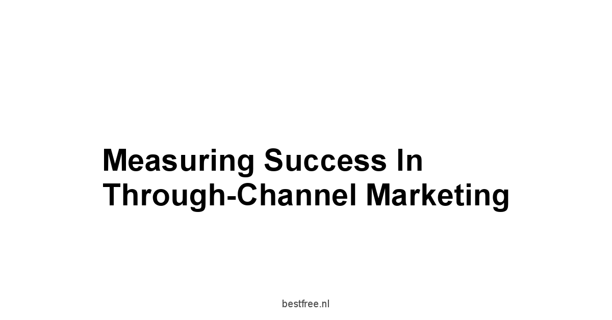 Measuring Success in Through-Channel Marketing