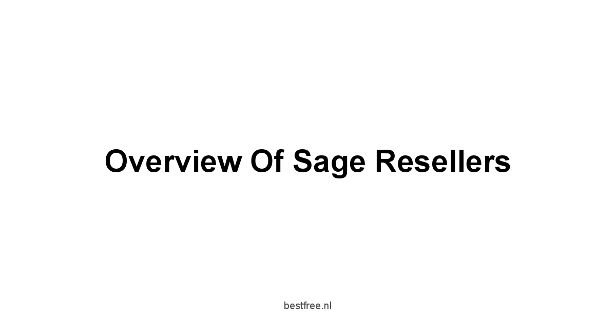 Overview of Sage Resellers