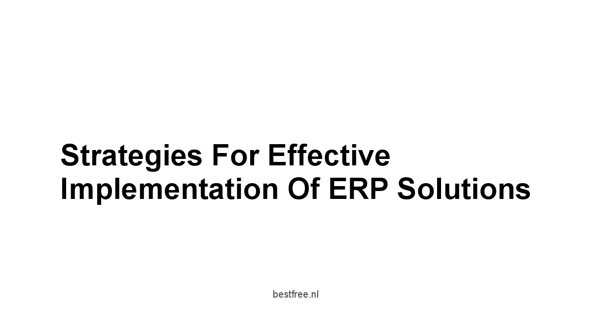 Strategies for Effective Implementation of ERP Solutions