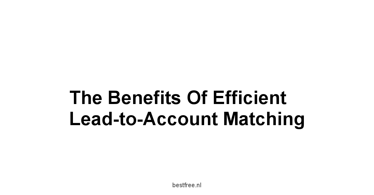 The Benefits of Efficient Lead-to-Account Matching