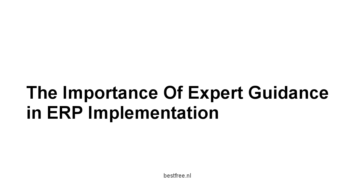 The Importance of Expert Guidance in ERP Implementation