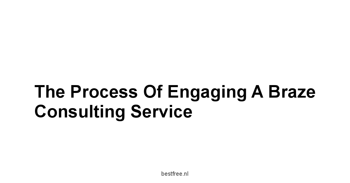 The Process of Engaging a Braze Consulting Service