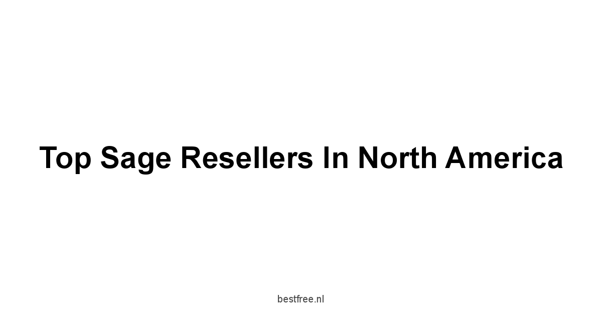 Top Sage Resellers in North America