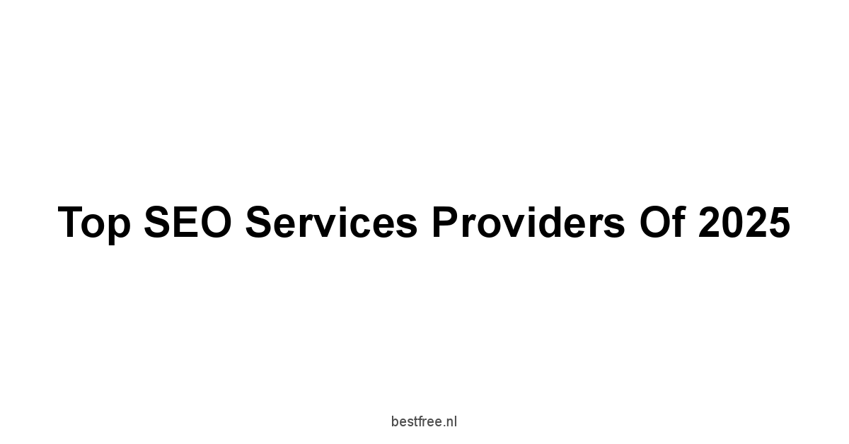 Top SEO Services Providers of 2025