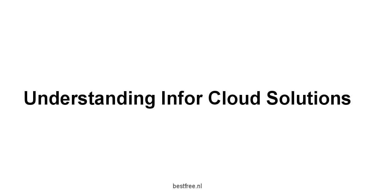 Understanding Infor Cloud Solutions