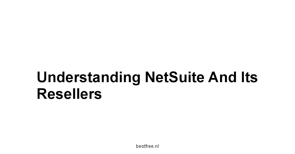 Understanding NetSuite and Its Resellers