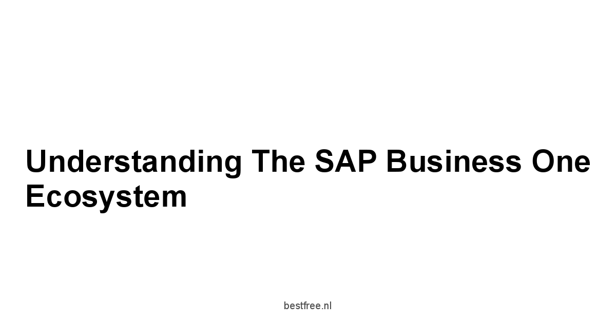 Understanding the SAP Business One Ecosystem