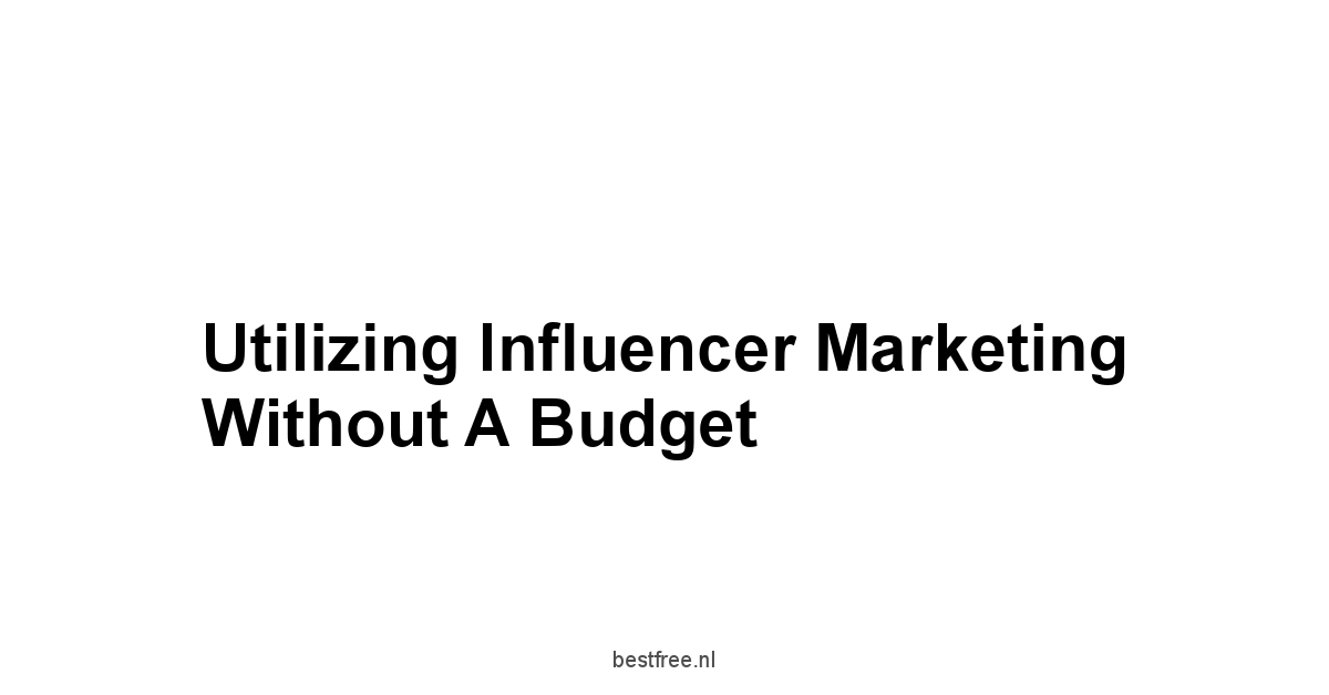 Utilizing Influencer Marketing Without a Budget