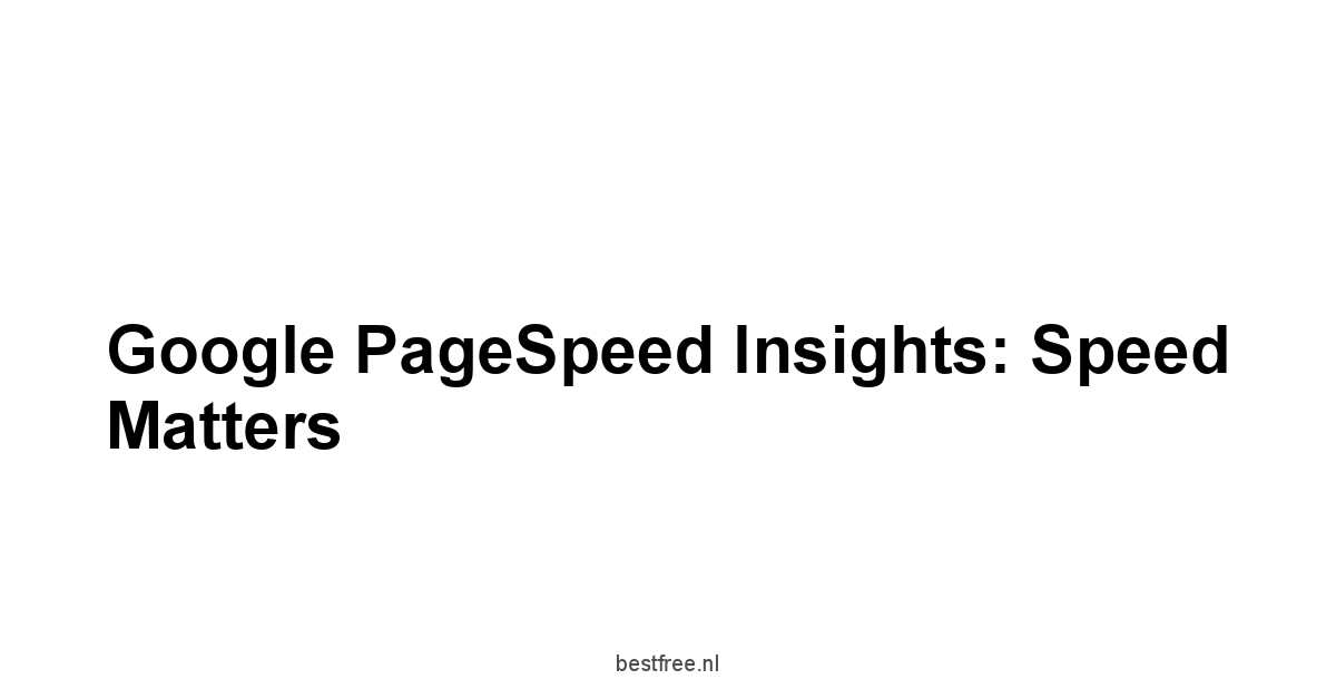 Google PageSpeed Insights: Speed Matters