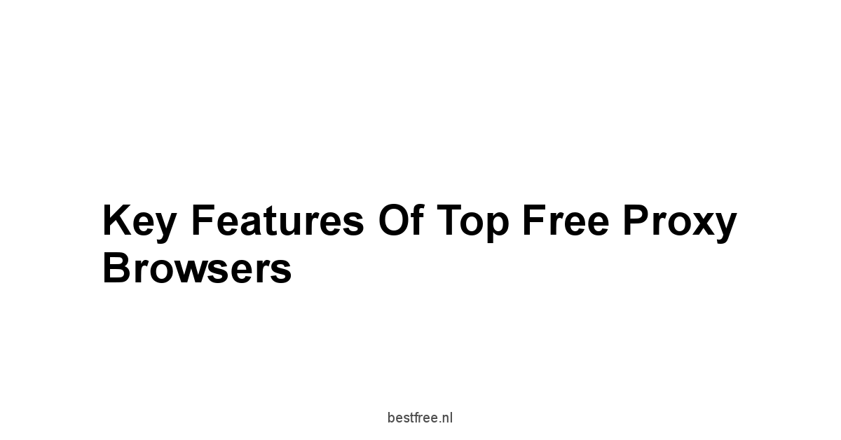 Key Features of Top Free Proxy Browsers