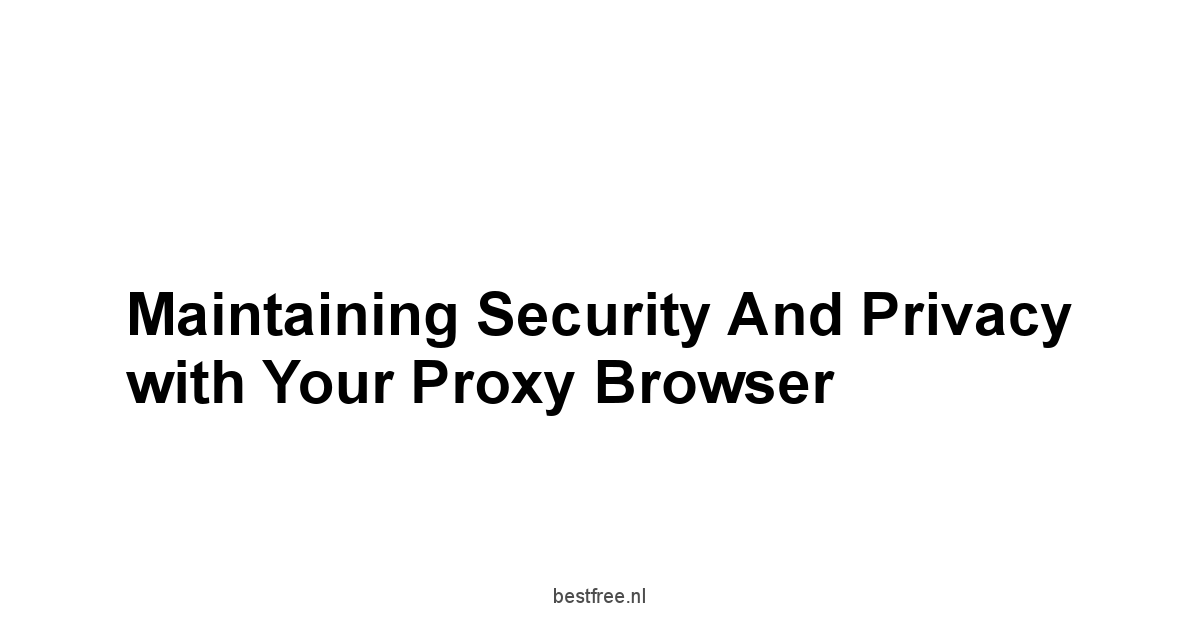 Maintaining Security and Privacy with Your Proxy Browser