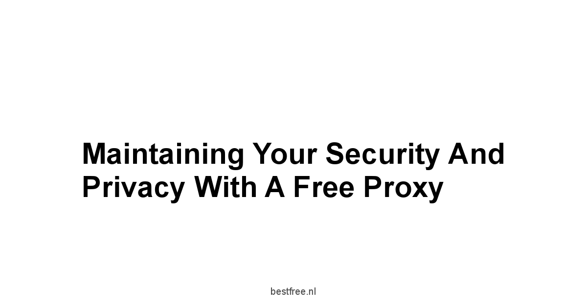 Maintaining Your Security and Privacy with a Free Proxy