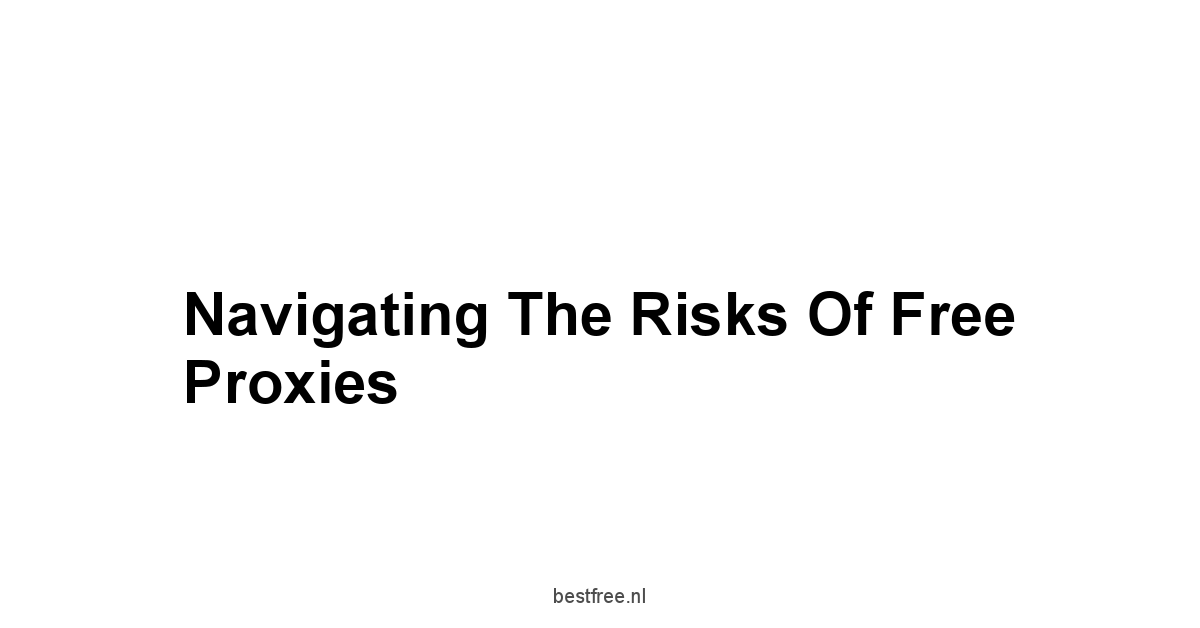 Navigating the Risks of Free Proxies