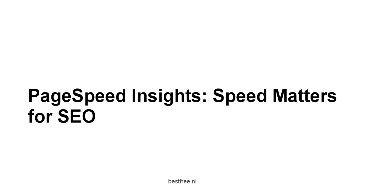 PageSpeed Insights: Speed Matters for SEO