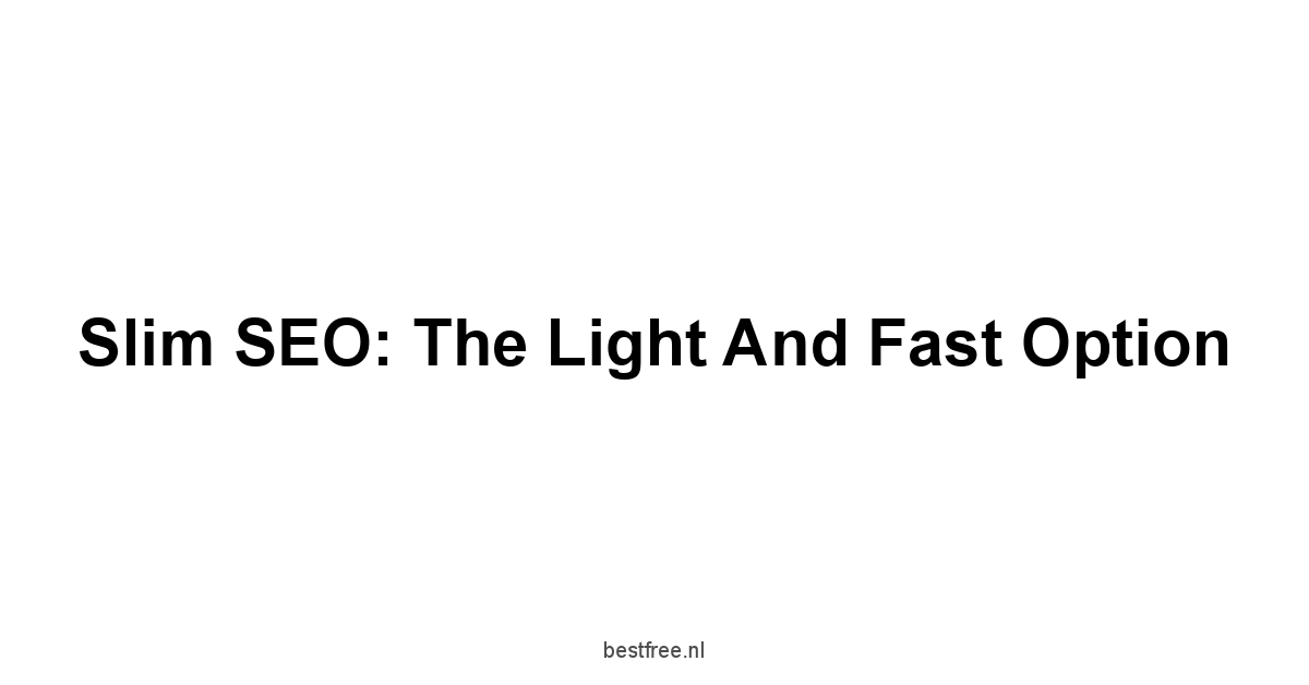 Slim SEO: The Light and Fast Option