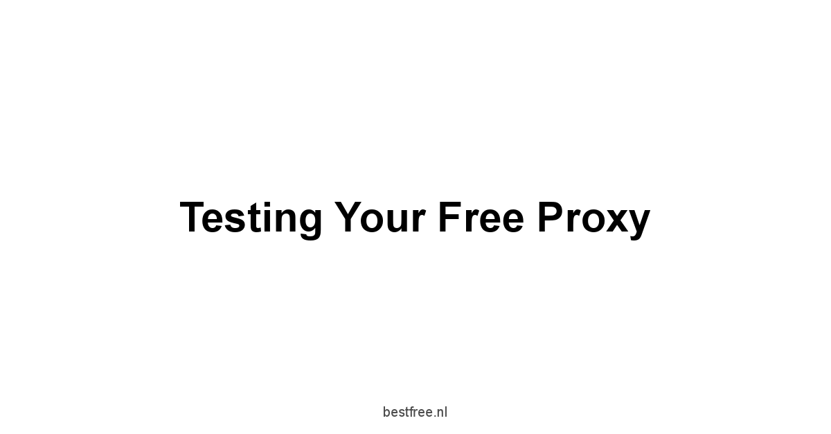 Testing Your Free Proxy