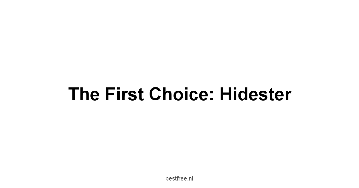 The First Choice: Hidester